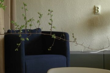 Бесплатное жилье для переселенцев в Полтавской области