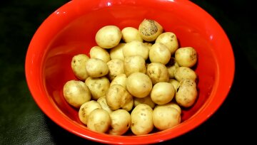 Картофель, молодой картофель