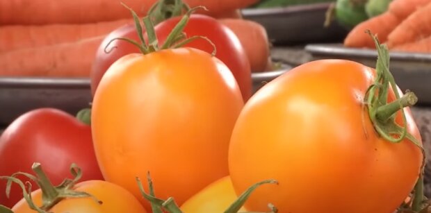 ����: politeka.net