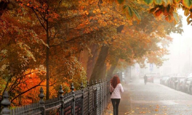 погода, осень