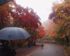 осень, люди, погода, дождь