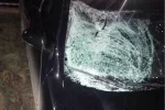 Український депутат намагався втекти з місця ДТП, потерпілий не вижив: деталі трагедії та кадри