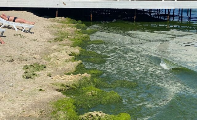 На одесских пляжах обнаружена опасная инфекция: "Употребление воды может привести к..."