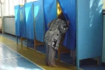 выборы