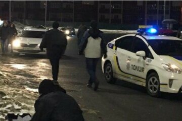 полиция, драка, задержание