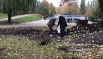 "Забирали мешками": в киевском парке устроили массовое воровство земли, видео