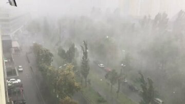 В Одессе бушует непогода, повалены столбы и перекрыто движение: кадры