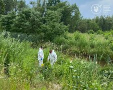 Екологи попередили киян: ворожий удар по нафтобазі отруїв озеро Кирилівське, рятувальники блокують розлив