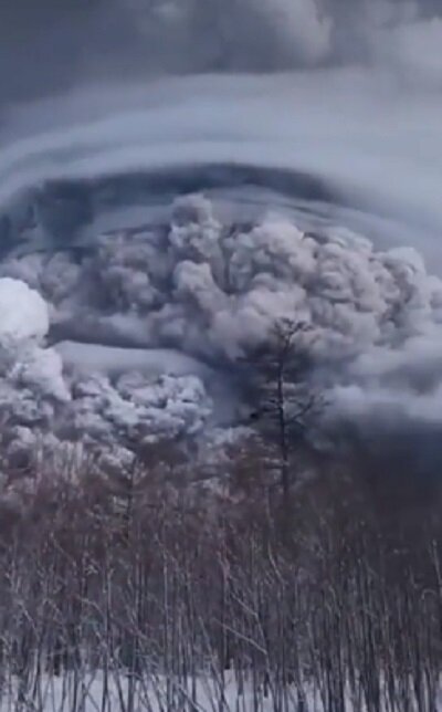 kgWVcrd7pRg84LAQzgOrzqV9cpdWo9lOVbXZlVpH