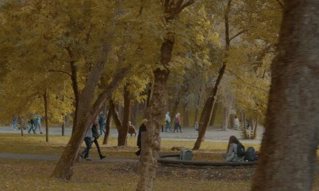 Прогноз погоды в Харькове на неделю с 19 по 25 ноября.