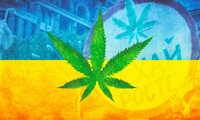 коллаж конопля марихуана