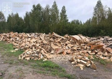 в Житомирской области будут судить группу лиц за незаконную добычу песчаника