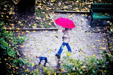 погода, осень, дождь