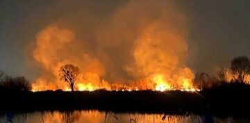 Держекоінспекція з'ясовує всі обставини масштабної пожежі поблизу озера Тягле