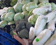 Цена на 82% меньше, чем в прошлом году: стоимость популярного овоща изменилась