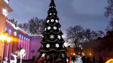 Главная елка Одессы: как будет выглядеть 20-метровая красавица, кадры