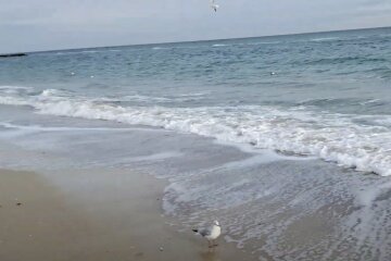 Прогноз погоди в Одесі на 17 травня