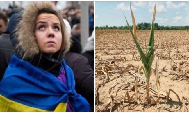 "Сотни миллионов пострадают": ученые предупредили об апокалипсисе, пострашнее пандемии