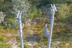 Графики отключения света в Харьковской области на 9 июня