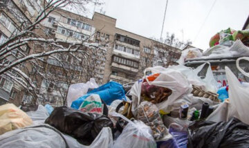 Центр Днепра утопает в мусоре, возле домов опасно ходить: пугающие кадры