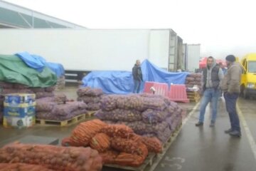 Українцям пояснили, чому картопля їм вже не по кишені: "Ціна буде рости"