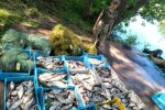 Держекоінспекція зупинила браконьєрство у заказнику «Сулинський»: накоїли шкоди на 4 мільйонів гривень