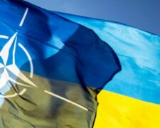 В МИД заговорили о базах НАТО на территории Украины: "Россия уже нервно отреагировала на..."