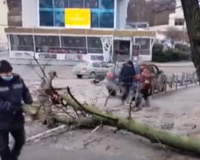 ЧП на дороге: в Киеве на проезжую часть рухнул столб и дерево, фото с места