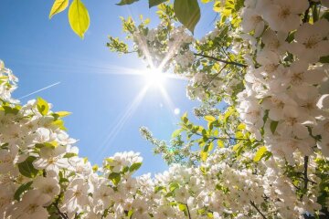 Погода на 5 апреля