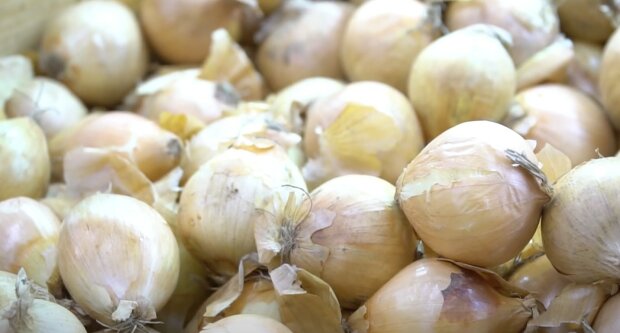  ���� ��� ������� ����� ������� 