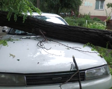 Прогноз погоди на тиждень з 28 квітня до 4 травня у Запоріжжі