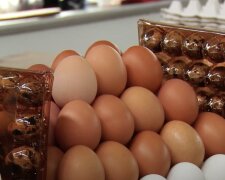 Подорожчання продуктів у Вінниці