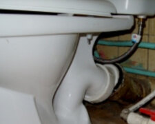 "Через каналізацію": мерзенні ссавці штурмують квартири дніпрян, фото