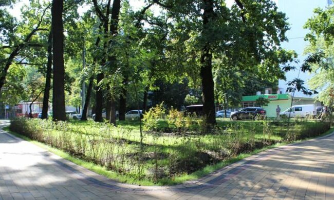 У Солом’янському районі урочисто відкрили сквер “Дубовий гай”