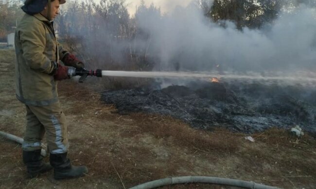 Мощный пожар вплотную подобрался к жилым домам на Харьковщине, кадры: слетелись спасатели