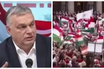 Венгры пытаются "отмыться" от заявлений своей власти об Украине, устроив огромную поддержку: "Очень стыдно"