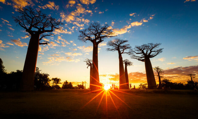 какой день 29 марта