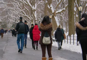 Прогноз погоди на тиждень з 1 по 7 грудня у Харкові