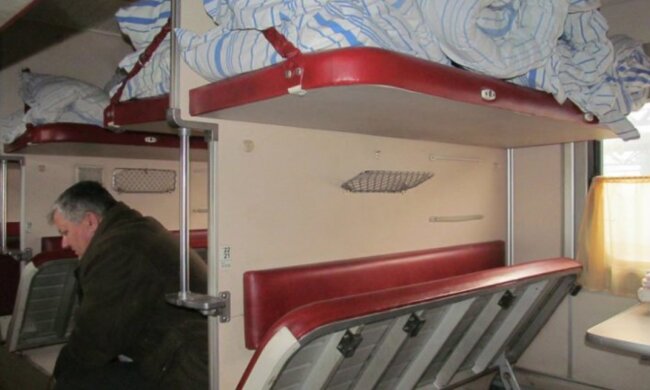 У поїзді «Укрзалізниці» "паслися" цілі стада тарганів, терпіння пасажирів урвався: відео