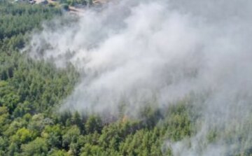 На Харківщині загорівся ліс біля будинків, кадри з місця НП: злетілися рятувальники