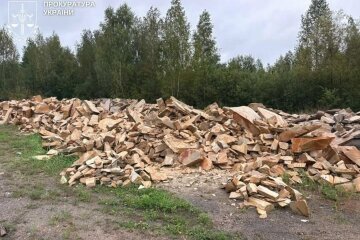 на Житомирщині судитимуть групу осіб за незаконний видобуток піщанику