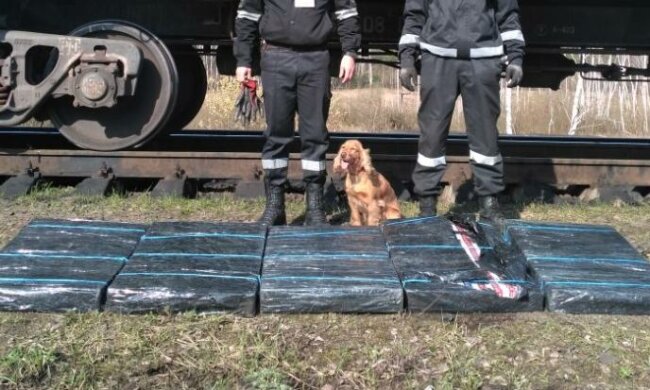 news_20170402_103131_1491118291