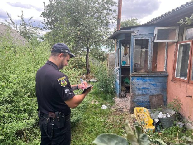 ����: politeka.net