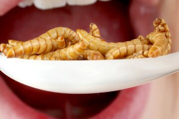 a1d8b80a-3ad0-4d40-a202-9f97940565fe