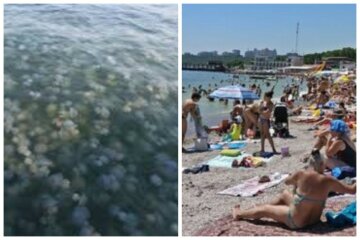 "Жалят лицо": медузы заполонили побережье на популярном украинском курорте, кадры напасти