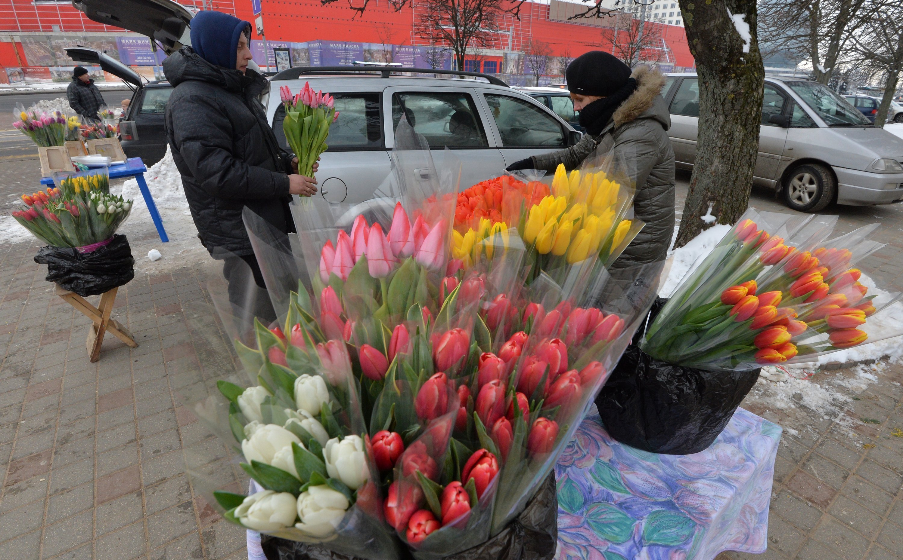 Грузовик с тюльпанами. Торговля цветами на улице.
