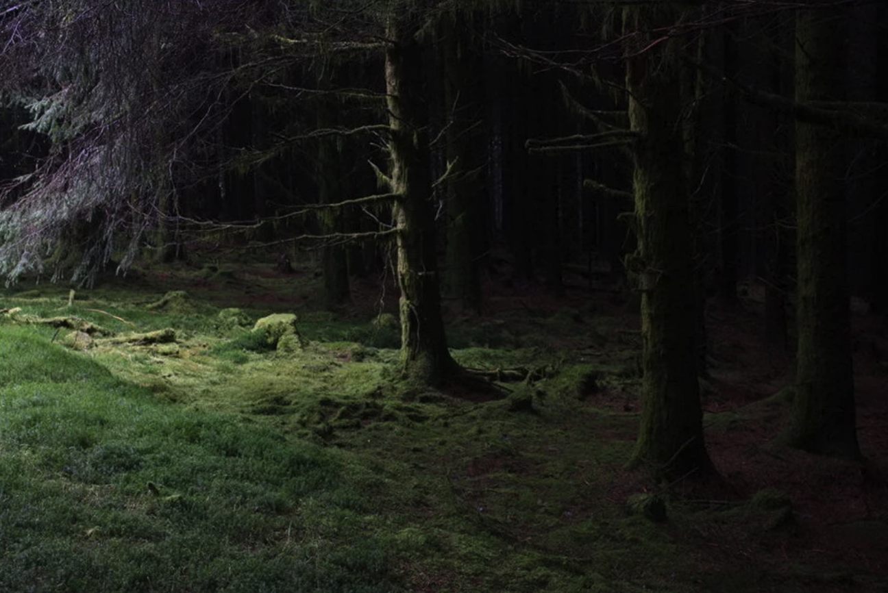 Кругом была глушь. Ведьмин лес Англия. Темный дремучий лес. Страшный лес. Страшный дремучий лес.