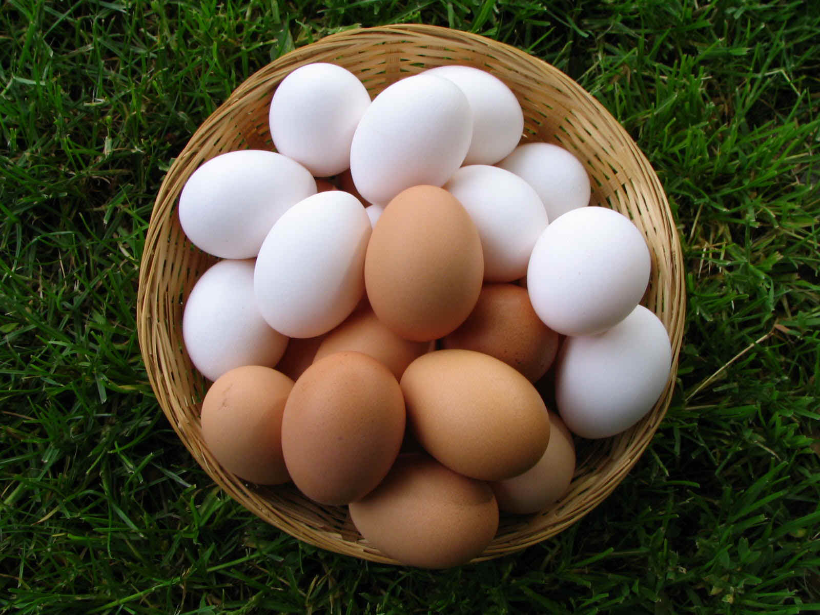 Купить яйцо киров. Яйцо куриное. Домашние яйца. Яйцо домашнее куриное. Курица с яйцами.