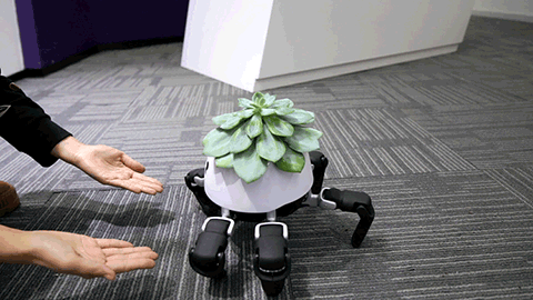 Робот, що доглядає за домашніми рослинами