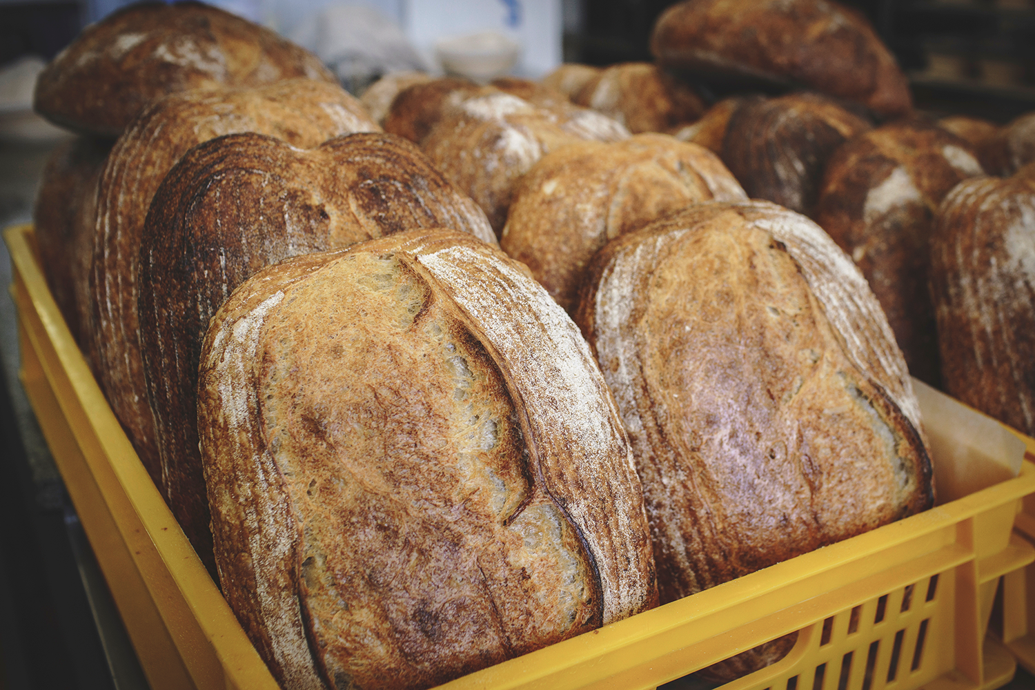 T me bread молдова. Хлеб ремесленный Хлебнаш. Элитный хлеб. Хлеб Буханка. Хлеб пекарня.